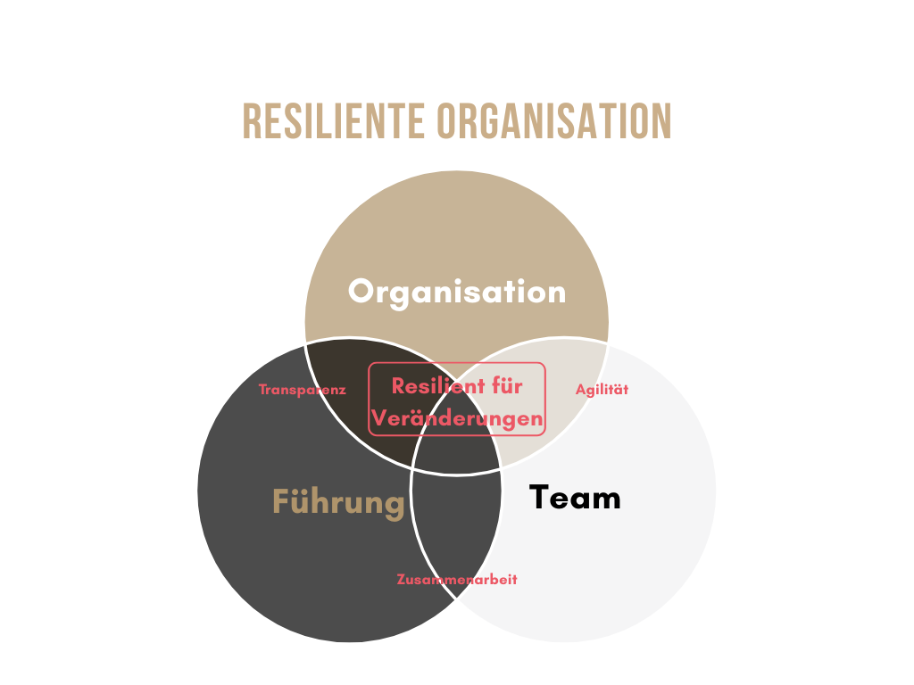Schaubild zur Entstehung resilienter Organisationen durch das Zusammenspiel von Führung, Team und Organisation mit Fokus auf Veränderungsfähigkeit